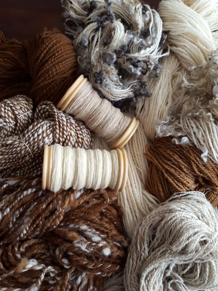 Guida ai Tessuti: Tutto ciò che Devi Sapere per Scegliere il Materiale Perfetto